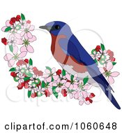 Poster, Art Print Of Bluebird Perched In Apple Blossoms - 2
