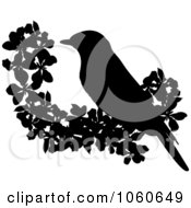 Poster, Art Print Of Silhouetted Bird And Blossoms