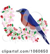 Poster, Art Print Of Bluebird Perched In Apple Blossoms - 1