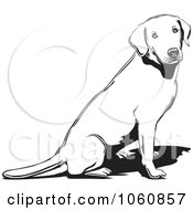 Outlined Lab Sitting