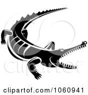 Poster, Art Print Of Black And White Snapping Crocodile