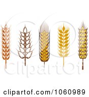 Royalty Free Vector Clip Art Illustration Of A Digital Collage Of Grains 3