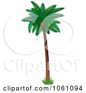 Poster, Art Print Of 3d Coconut Palm Tree With Lush Green Foliage