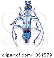 Poster, Art Print Of Blue Rosalia Longicorn Beetle