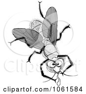 Clipart Drinking Fly In Black And White Royalty Free Vector Illustration by Zooco