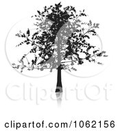 Poster, Art Print Of Oak Tree In Silhouette