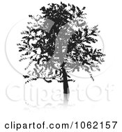 Poster, Art Print Of Oak Tree Silhouetted