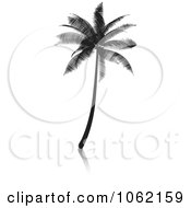Clipart Palm Tree Silhouette Royalty Free Vector Illustration