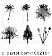 Poster, Art Print Of Tree Silhouettes Digital Collage