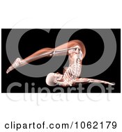 Poster, Art Print Of 3d Female Xray Body In A Yoga Position