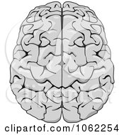 Clipart Human Brain 1 Royalty Free Vector Illustration