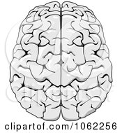 Clipart Human Brain 2 Royalty Free Vector Illustration