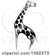 Clipart Giraffe In Black And White Royalty Free Vector Illustration