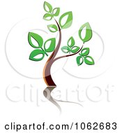 Poster, Art Print Of Green Tree And Reflection Logo 1