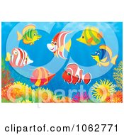 Marine Fish And A Coral Reef