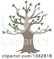 Poster, Art Print Of Tree With Growth