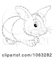 Poster, Art Print Of Dutch Rabbit Outline