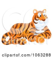 Poster, Art Print Of Seated Tiger