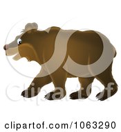 Clipart Bear Royalty Free Illustration