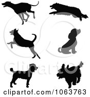 Silhouetted Dogs