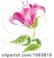 Poster, Art Print Of Pink Lily Flower