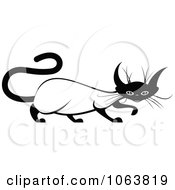 Evil Siamese Cat Black And White 1