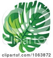 Clipart Swiss Cheese Plant Leaf Royalty Free Vector Illustration