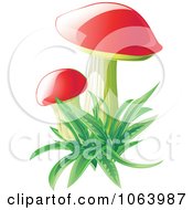 Poster, Art Print Of Mushrooms In Grass