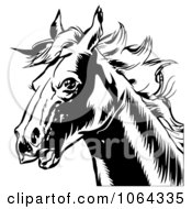 Poster, Art Print Of Black Horse Head