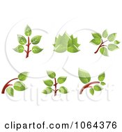 Poster, Art Print Of Leafy Branch Icons Design Elements