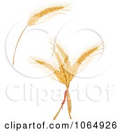 Clipart Grains Digital Collage 3 Royalty Free Vector Illustration