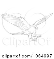 Poster, Art Print Of Outlined Falcon Reaching For Prey
