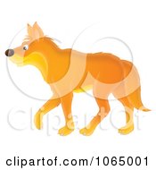 Clipart Orange Wolf Walking Royalty Free Illustration