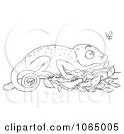 Clipart Outlined Chameleon Watching A Fly Royalty Free Illustration by Alex Bannykh