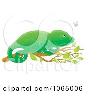 Poster, Art Print Of Chameleon Watching A Fly