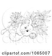 Clipart Outlined Koala In A Eucalyptus Royalty Free Illustration by Alex Bannykh