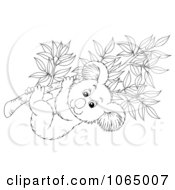 Poster, Art Print Of Outlined Koala In A Eucalyptus