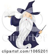 Wizard With A Magic Book And Wand