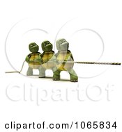 Clipart 3d Tortoises In A Game Of Tug Of War Royalty Free CGI Illustration by KJ Pargeter