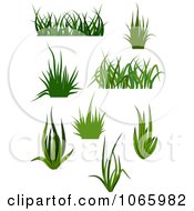 Poster, Art Print Of Grass Elements 3