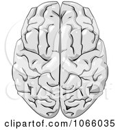 Poster, Art Print Of Human Brain 3