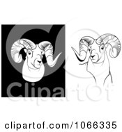 Clipart Rams Royalty Free Vector Illustration by Vector Tradition SM