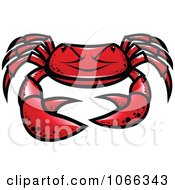 Poster, Art Print Of Grumpy Crab