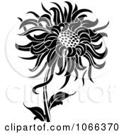 Clipart Black And White Sunflower Royalty Free Vector Illustration by Vector Tradition SM
