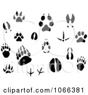 Poster, Art Print Of Animal Tracks