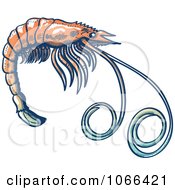 Poster, Art Print Of Profiled Shrimp
