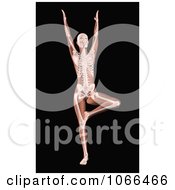 Clipart Medical 3d Female Skeleton In A Yoga Pose 1 Royalty Free CGI Illustration