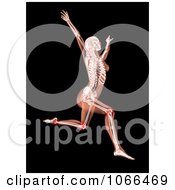 Poster, Art Print Of Medical 3d Female Skeleton Leaping Leg Joints Highlighted