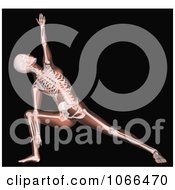 Poster, Art Print Of Medical 3d Female Skeleton In A Yoga Pose 2