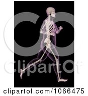 Poster, Art Print Of Medical 3d Overweight Female Skeleton Running